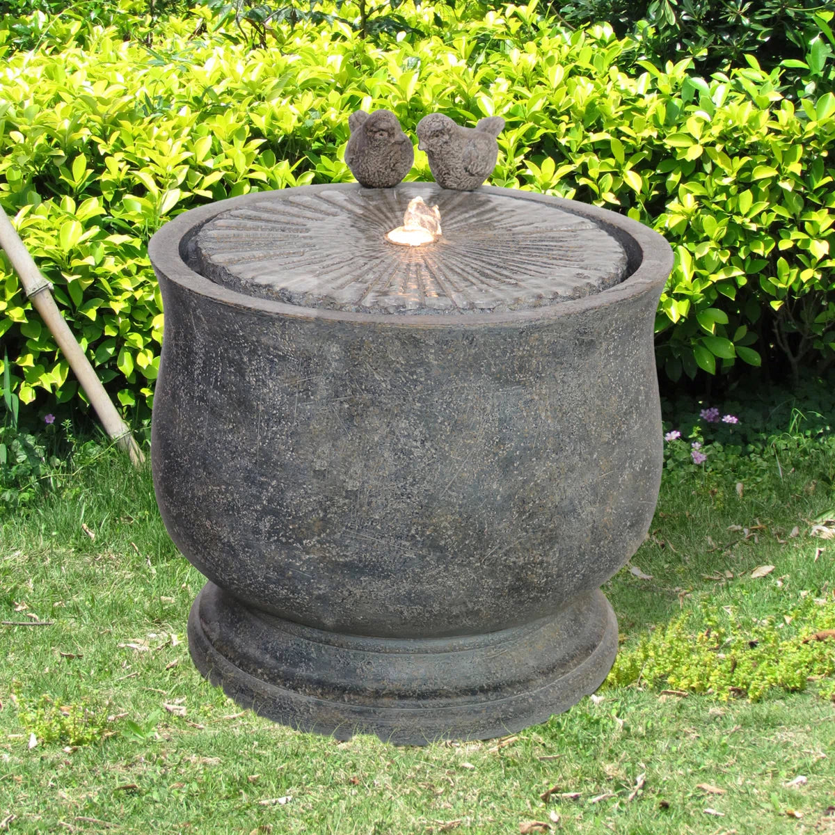 Polynesian Fountain Sparrow with Lights