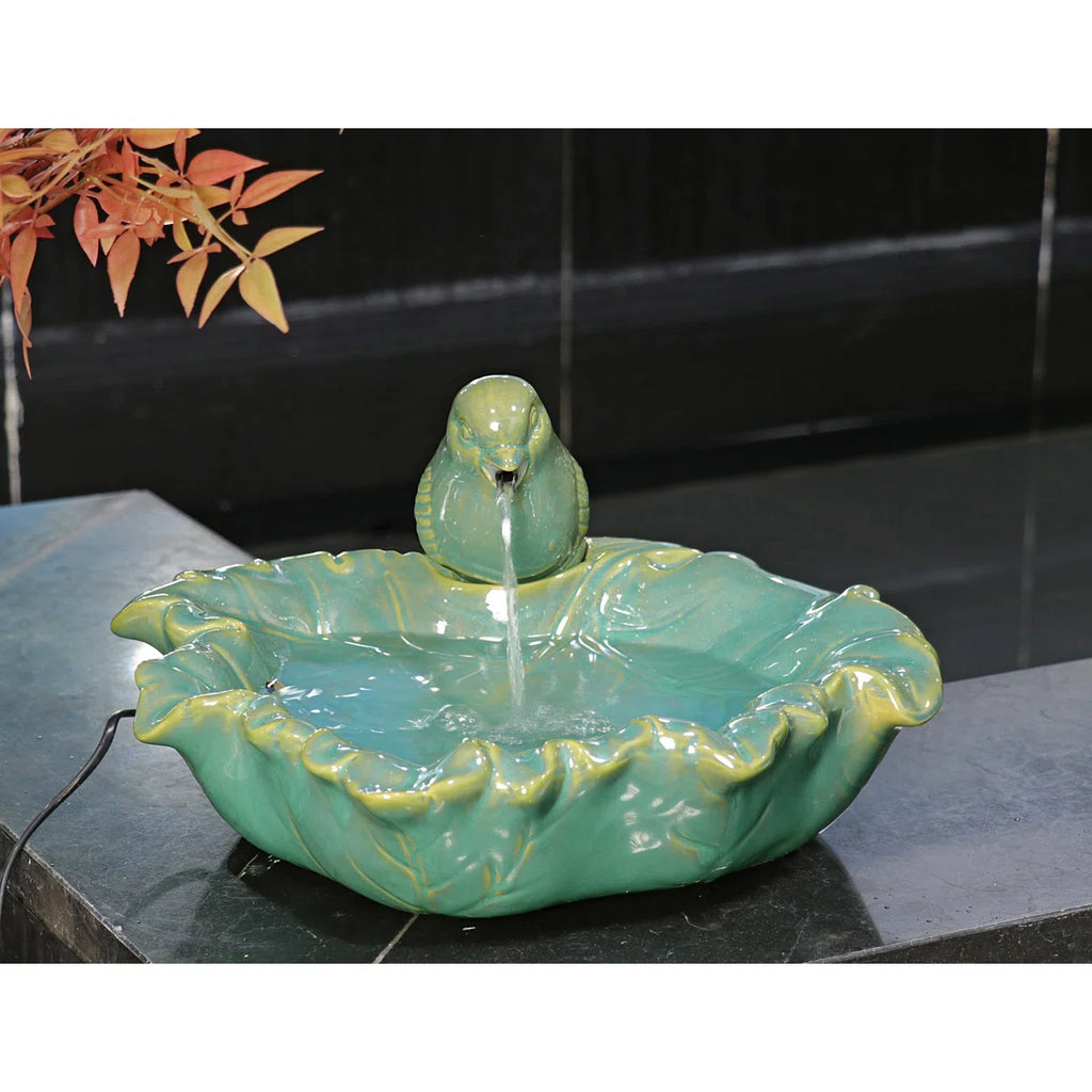 Polynesian Fountain Canary