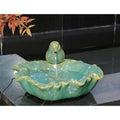Polynesian Fountain Canary