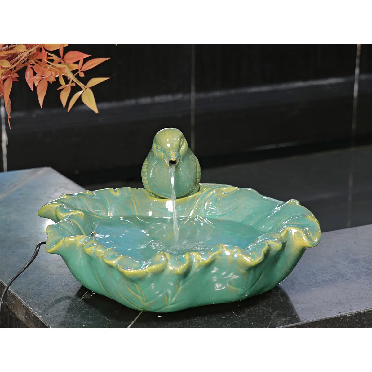 Polynesian Fountain Canary