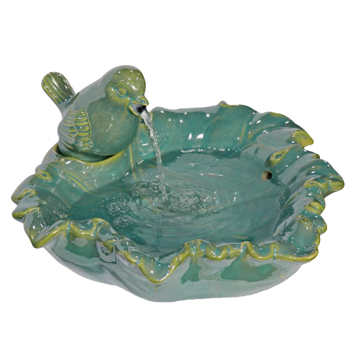 Polynesian Fountain Canary