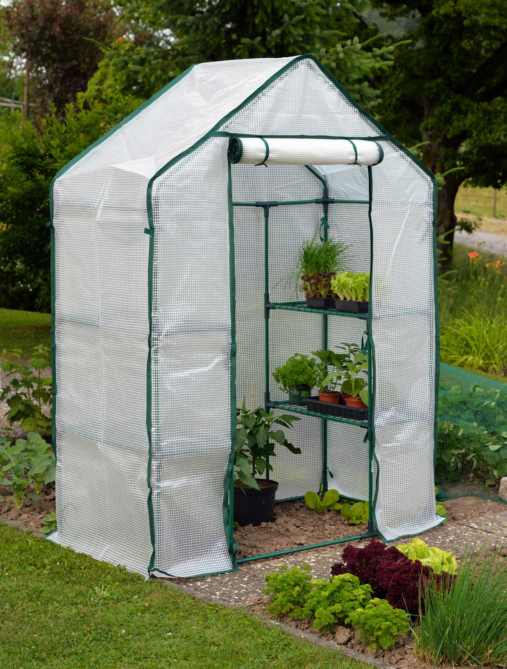 Greenhouse Large