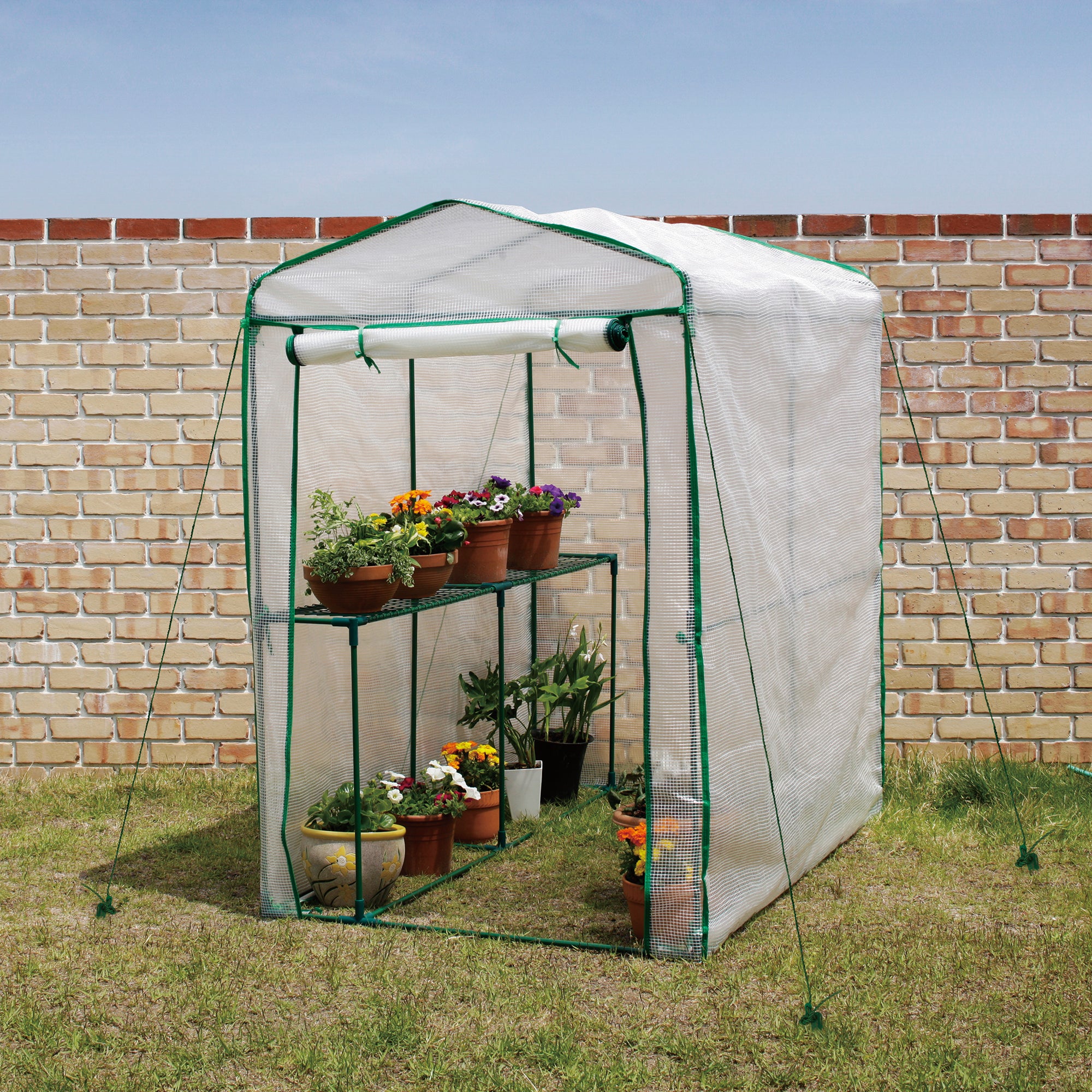 Greenhouse XL