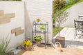 Plant Stand 3 Shelf