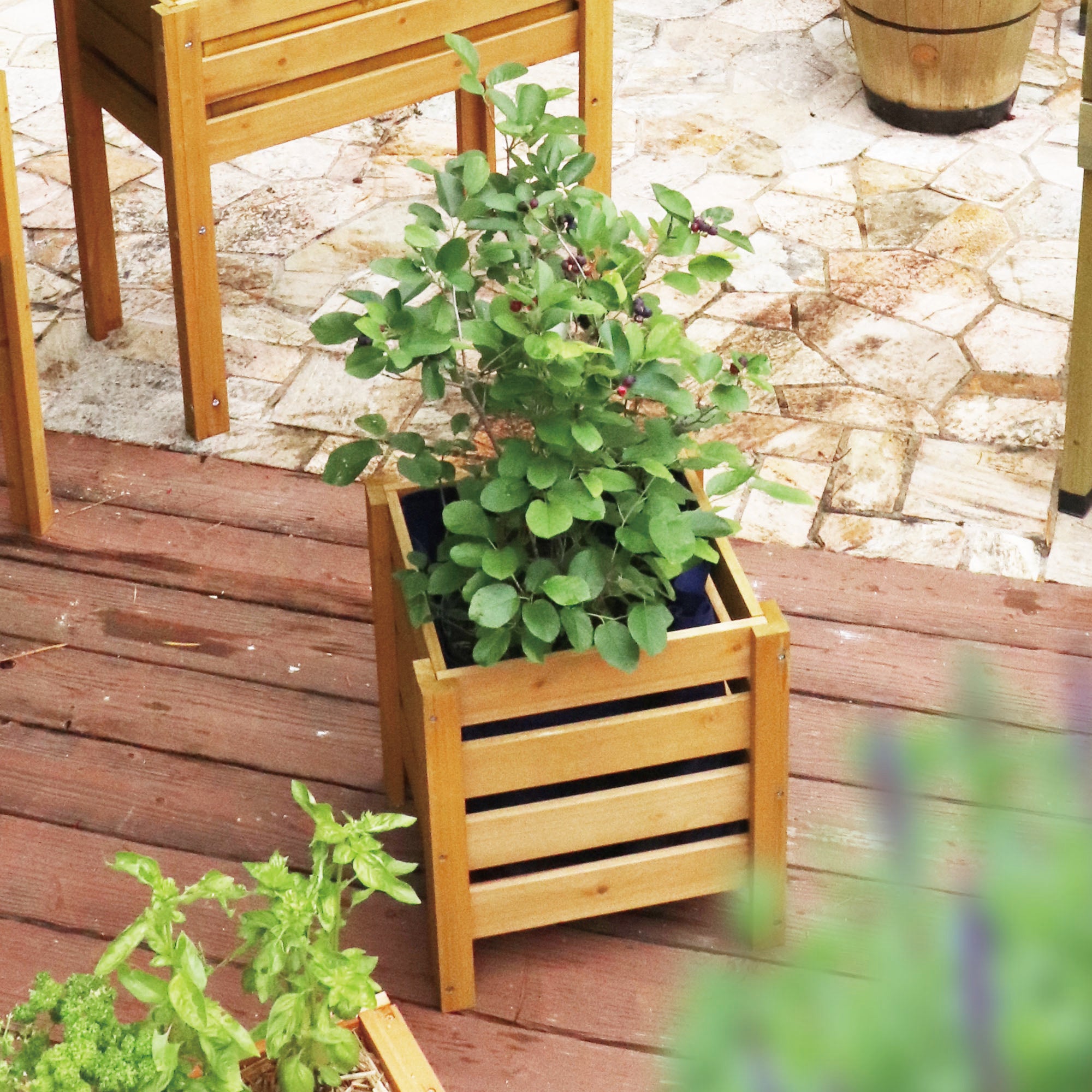 Patio Planter Low Small