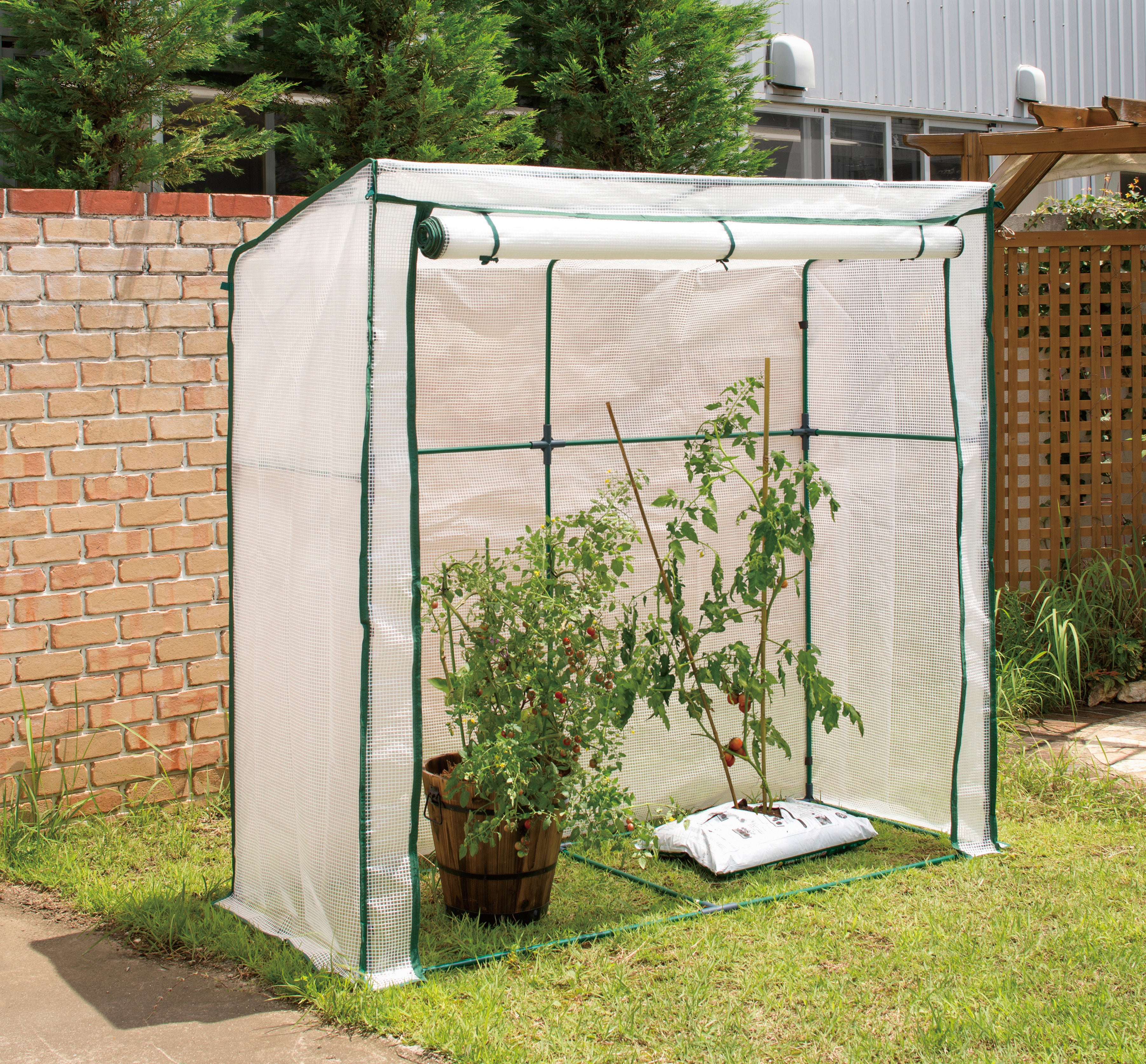 Tomato House 200