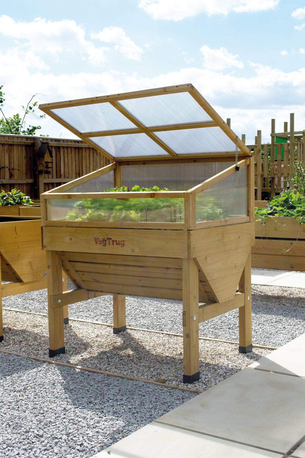 Cold Frame for VegTrug Classic 1m