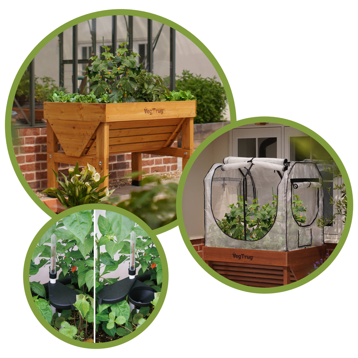 VegTrug Classic 1m Spring Bundle