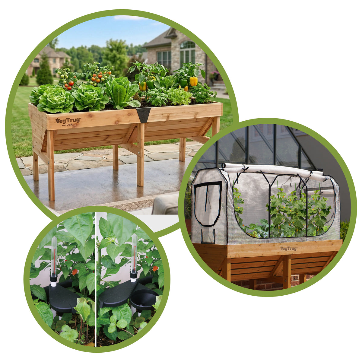 VegTrug Classic 1.8m USA Spring Bundle