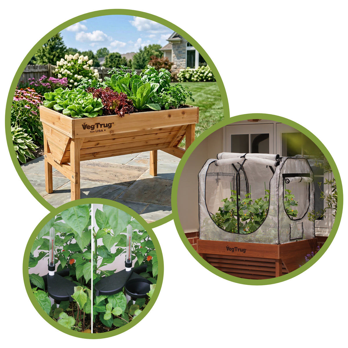 VegTrug Classic 1m USA Spring Bundle