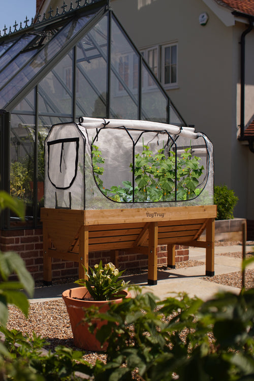 Greenhouse Frame & Multi-Cover Set for VegTrug Classic 1.8m