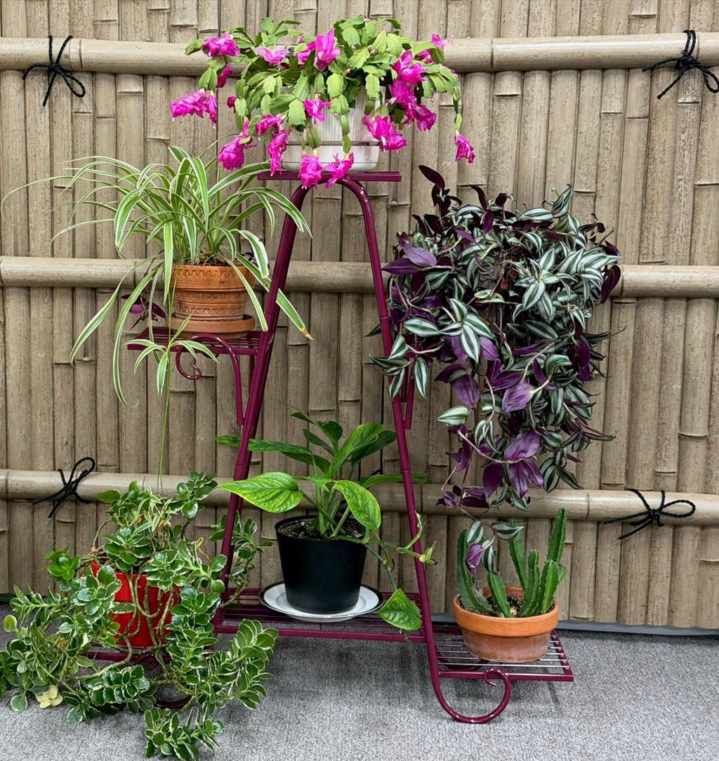 6 Shelf Metal Plant Stand