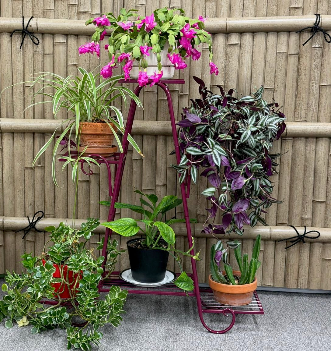 6 Shelf Metal Plant Stand