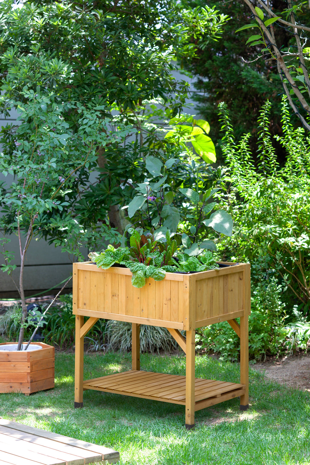 Raised Planter