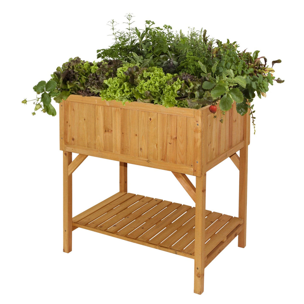 Raised Planter