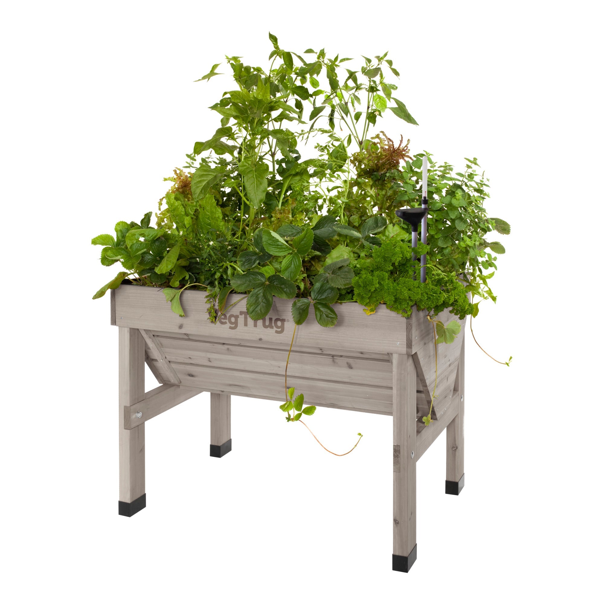 VegTrug Classic 1m – VegTrug USA