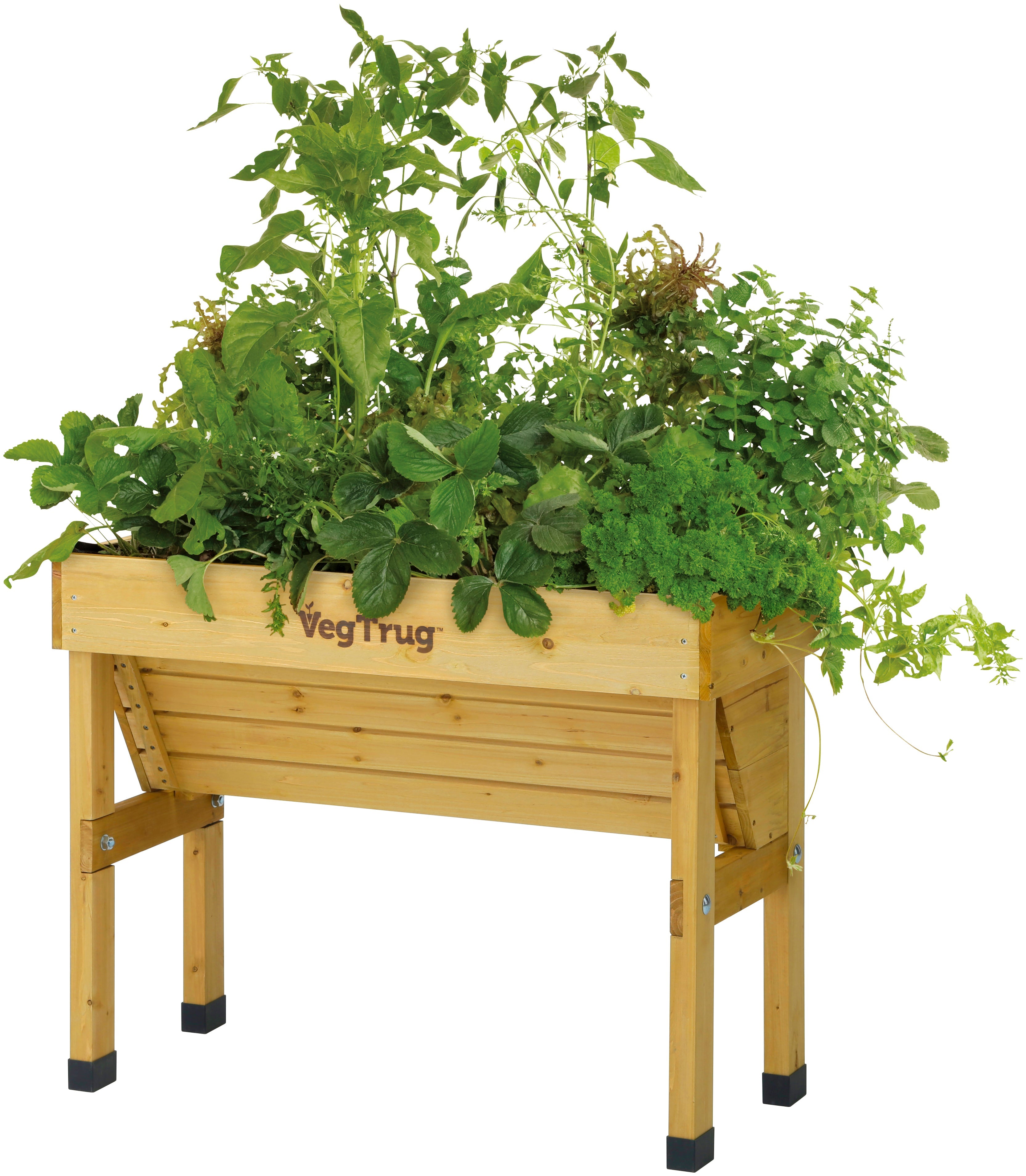 VegTrug Wallhugger - Thumbnail 4