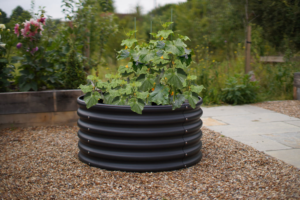 VegTub 6-in-1 Modular Bed