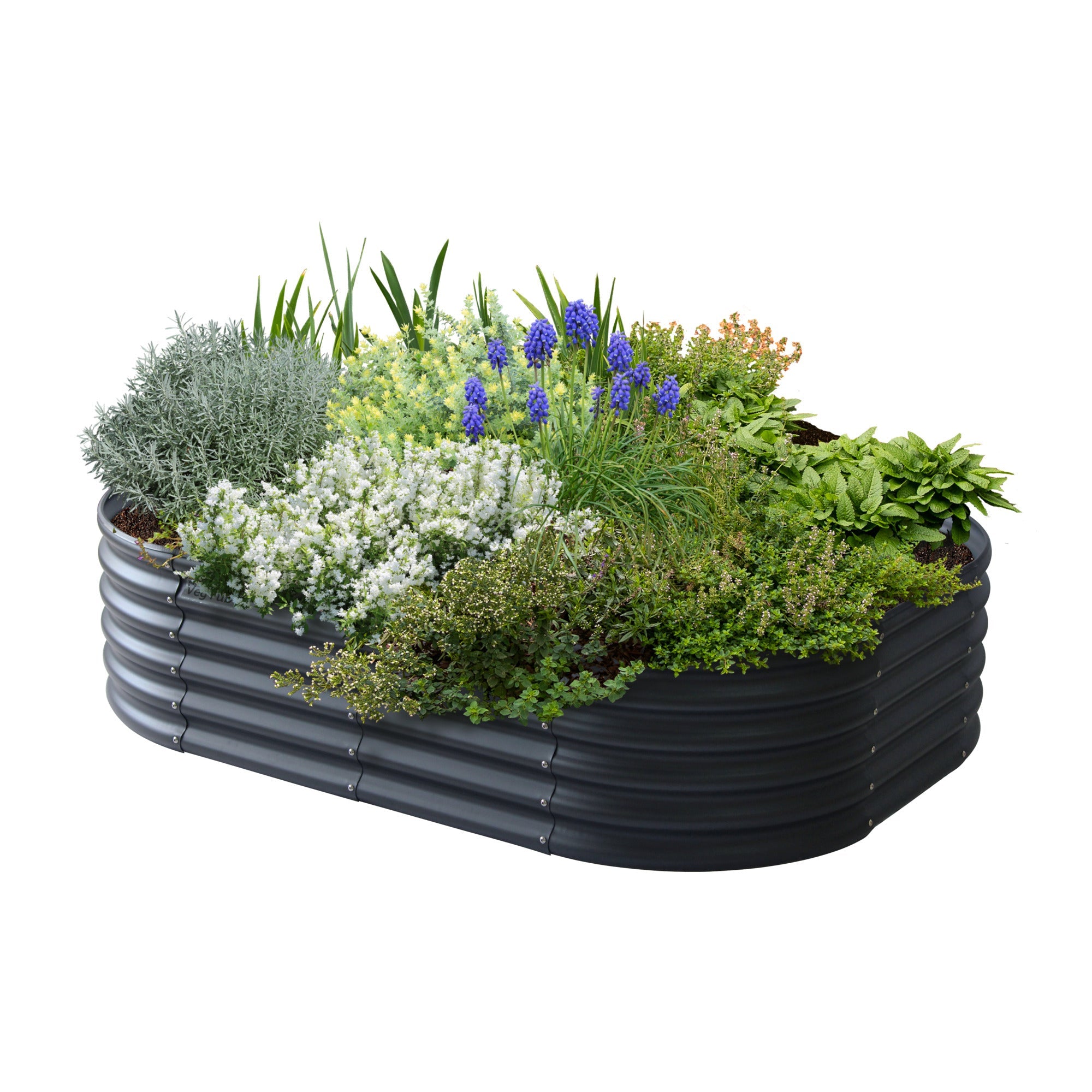 VegTub 6-in-1 Modular Bed