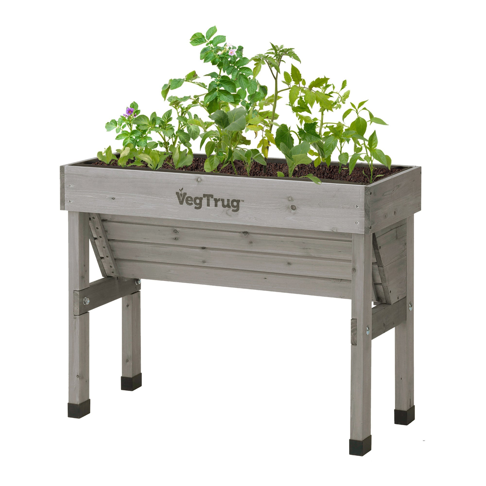 VegTrug Wallhugger